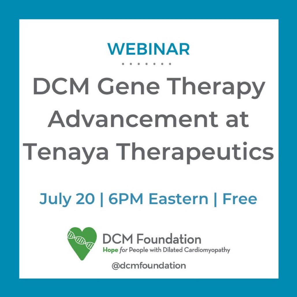 dcm webinar