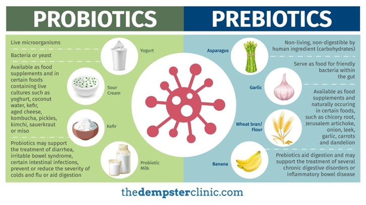 Probiotics and Prebiotics from Foods